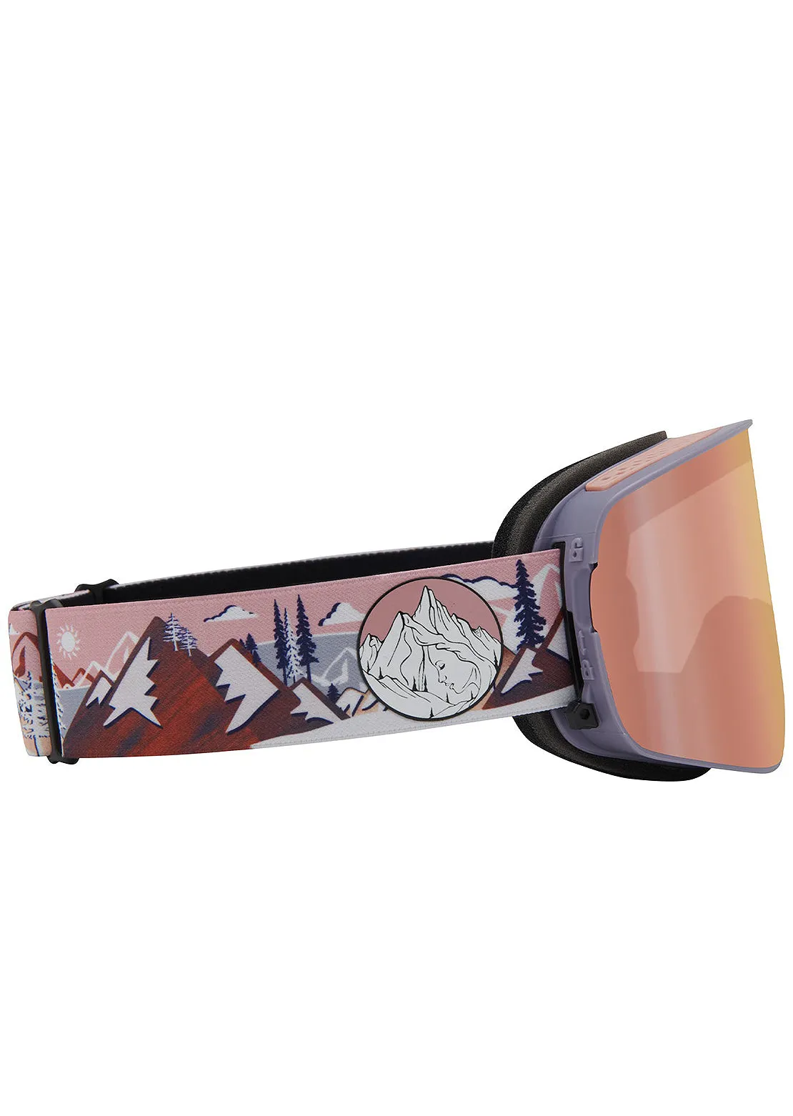 Dragon NFX2 Snow Goggles