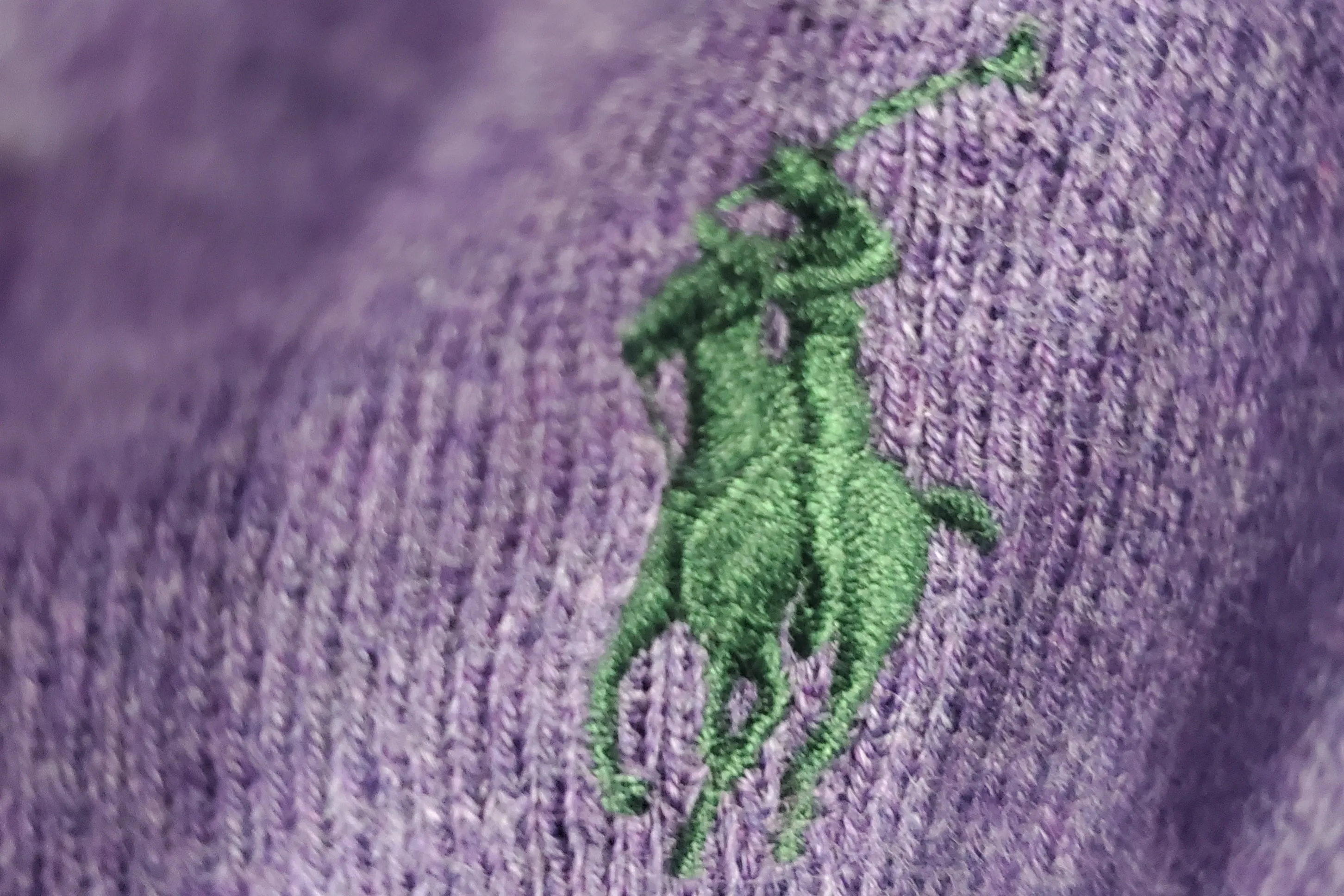 Nwt Polo Ralph Lauren Purple w/Green Horse Cotton Vest