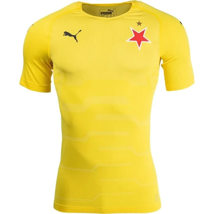 Puma SLAVIA FINAL EVOKNIT GK