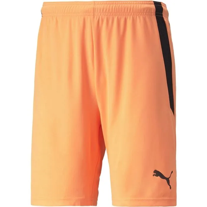 Puma TEAM LIGA SHORTS