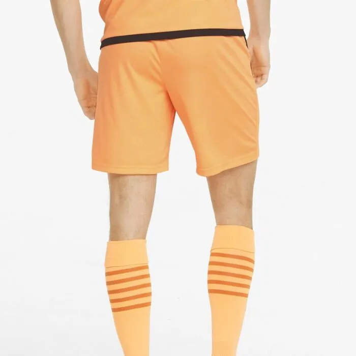 Puma TEAM LIGA SHORTS