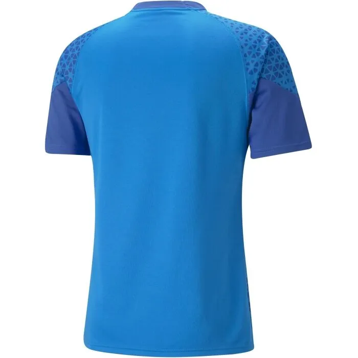 Puma TEAMCUP TRAINING JERSEY